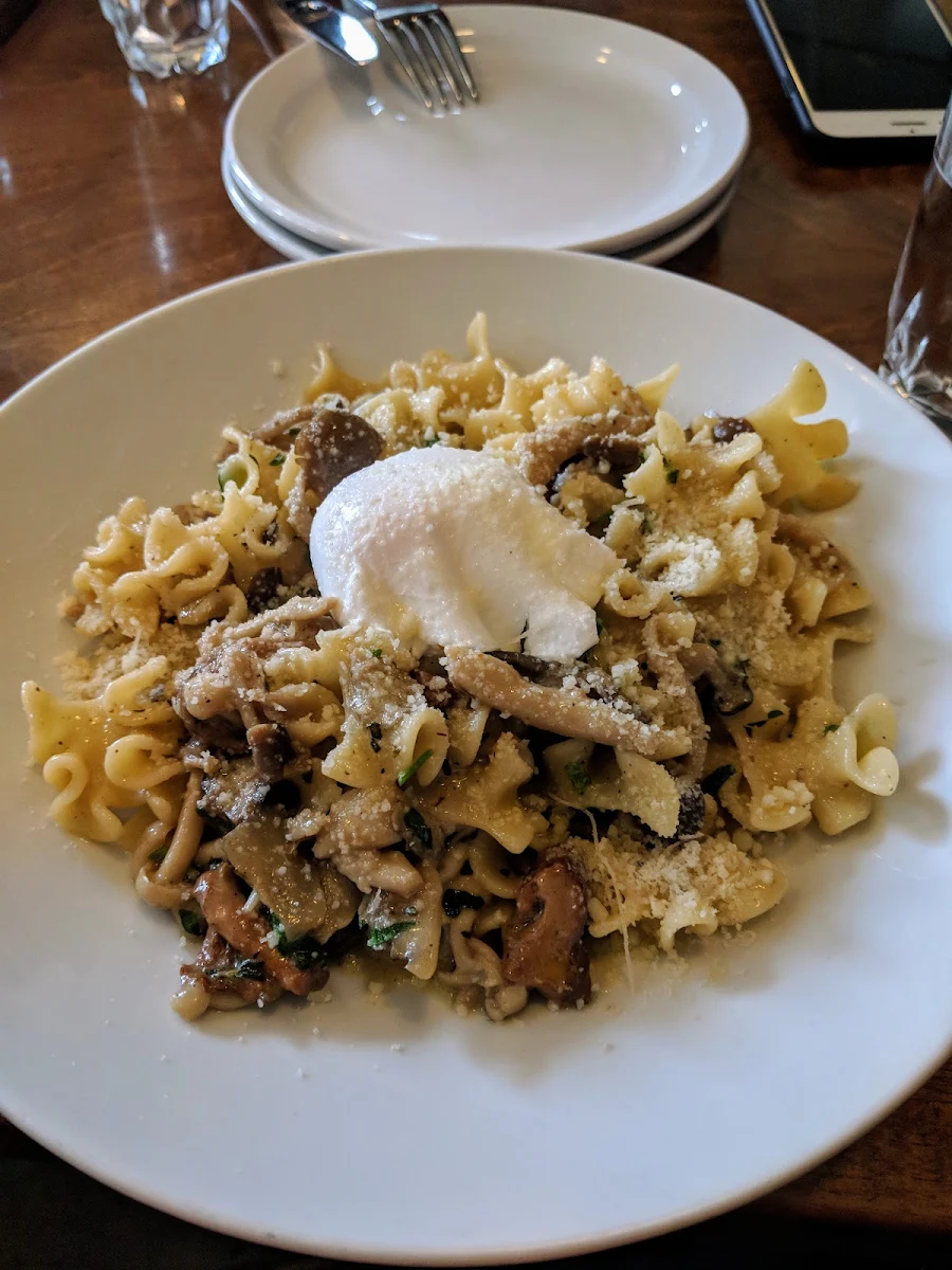 Sagne Mushroom Trifolati