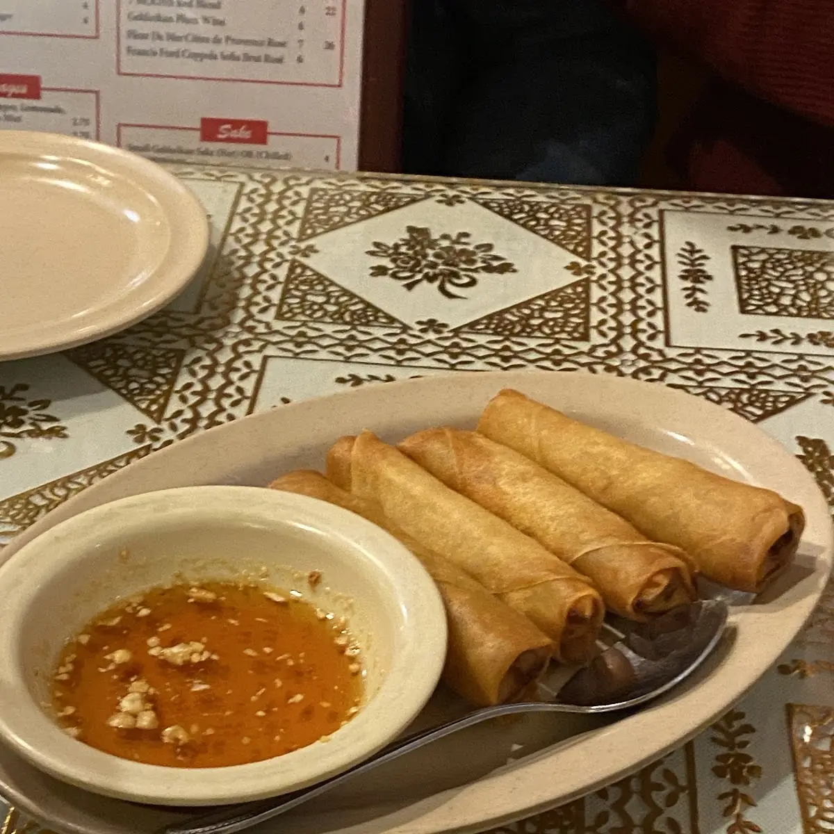 Fried Veggie Spring Rolls