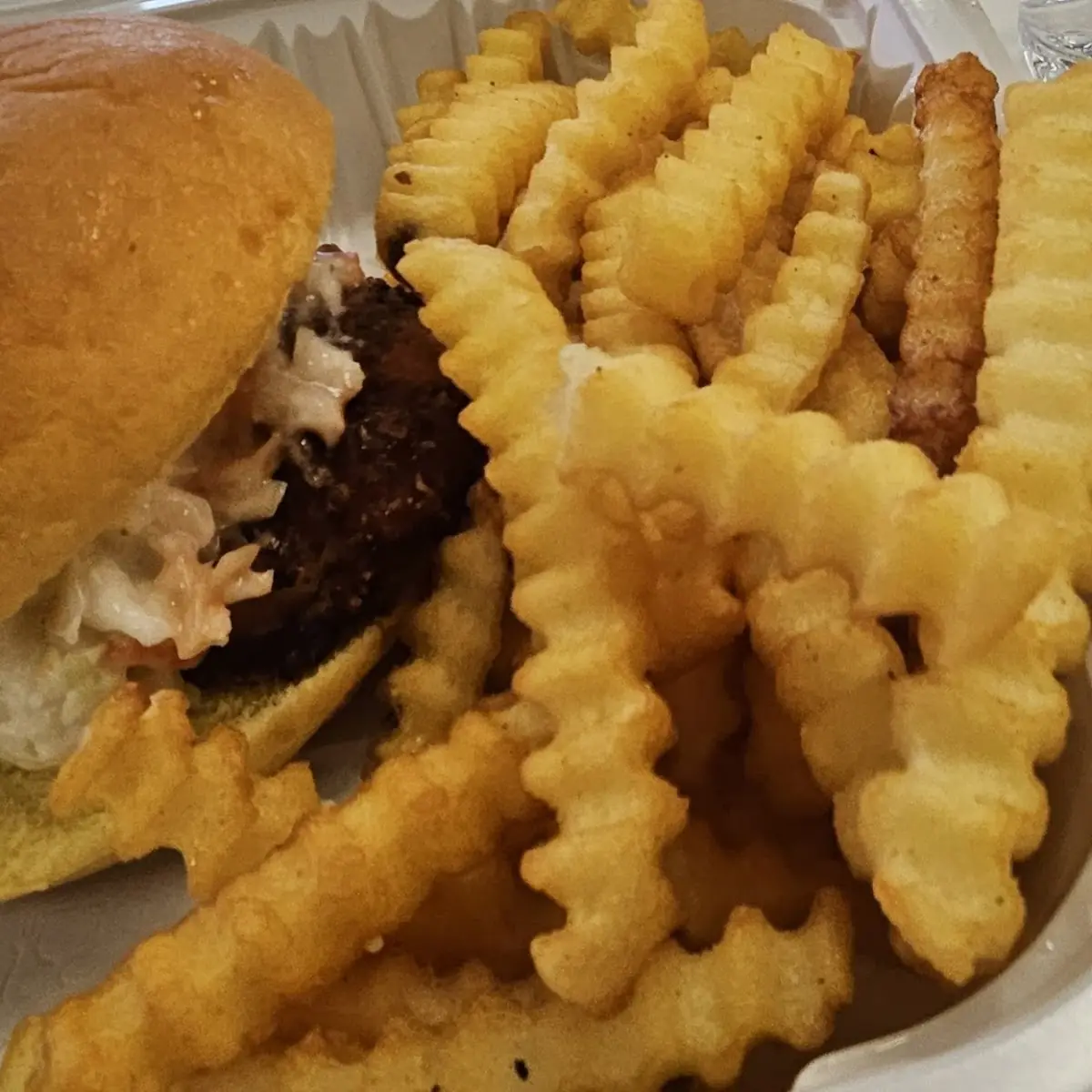 Plain Burger Combo with Fries