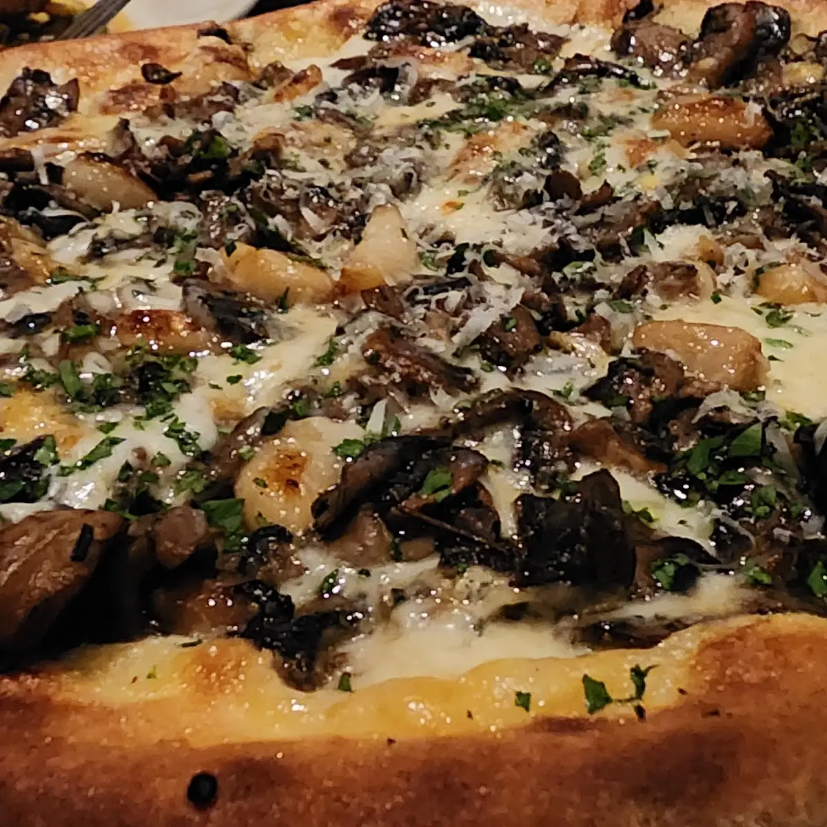 Wild Mushroom