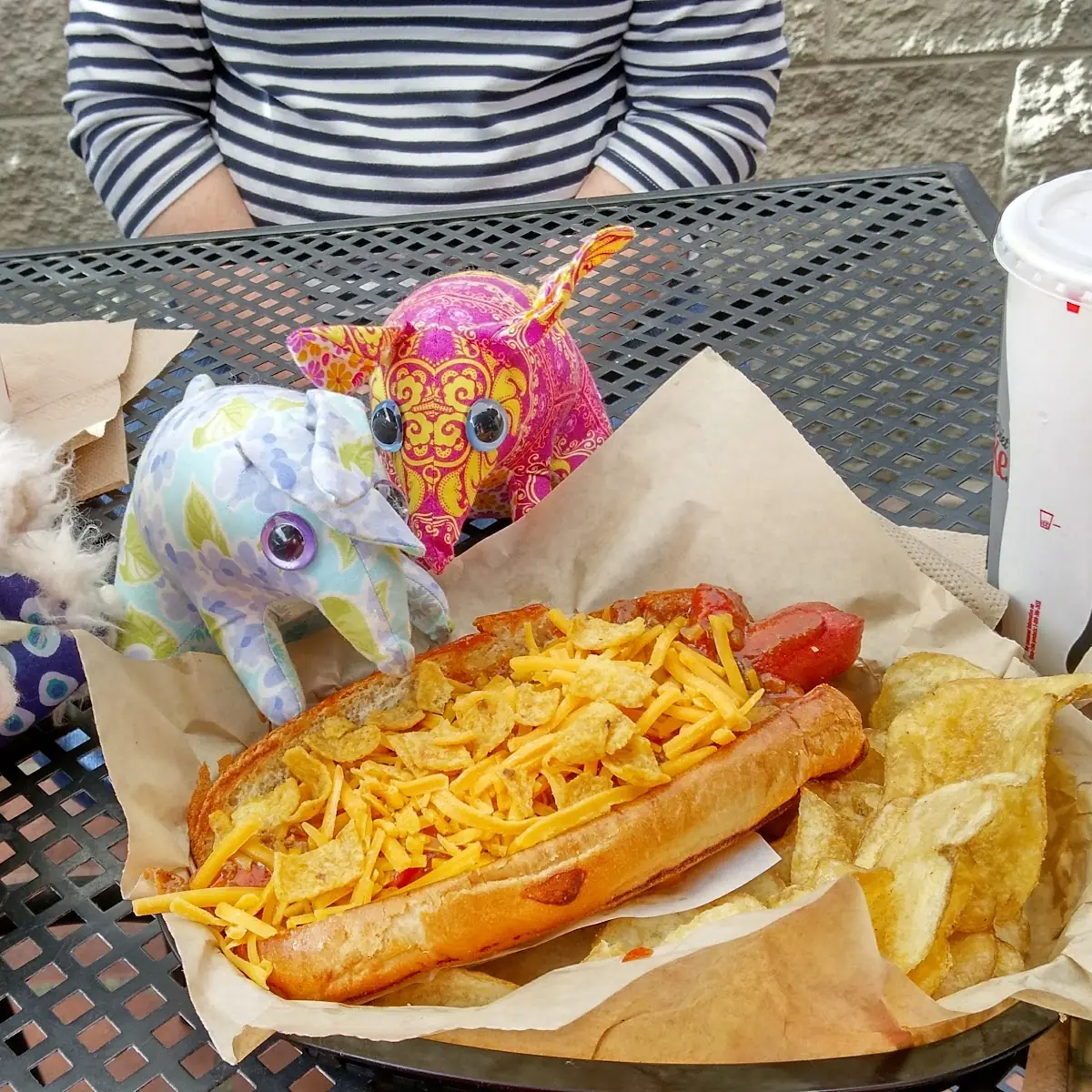 Chili Cheese Dog with Fresh Chips