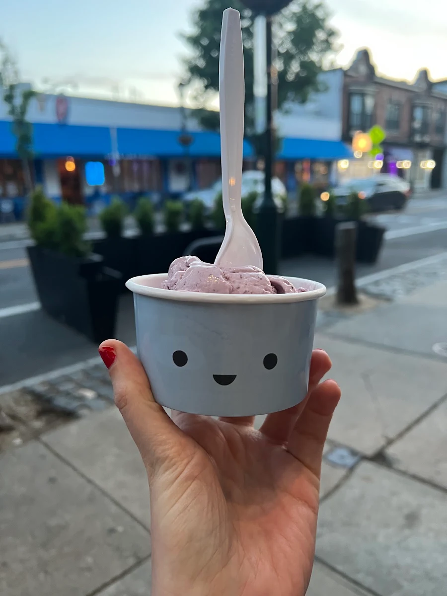 Wild Berry Ice Cream