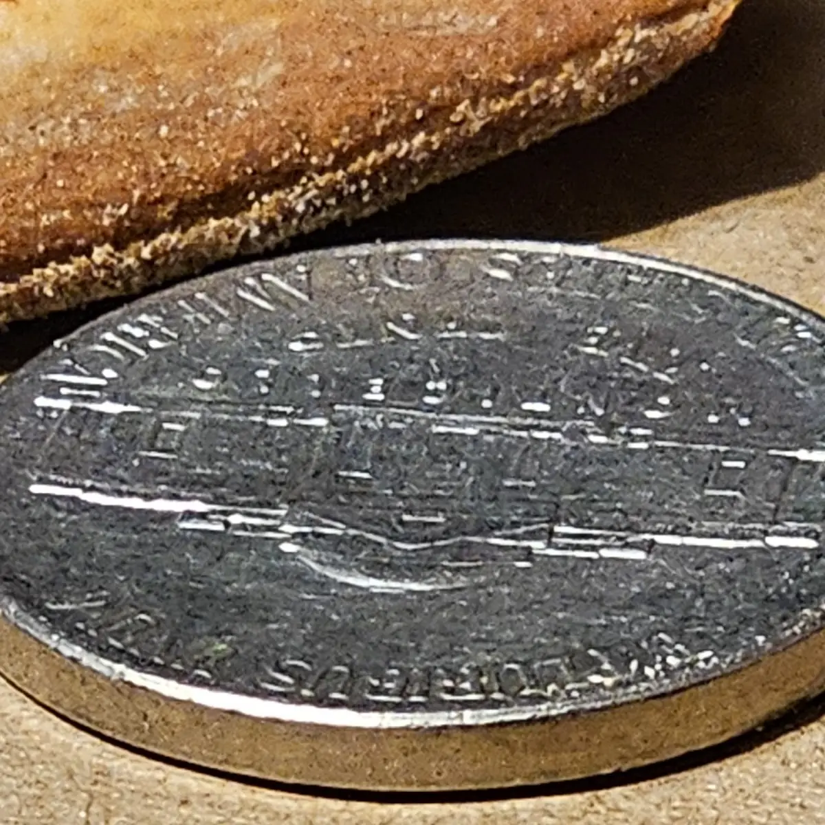 Exceptionally Thin Crust Pizza