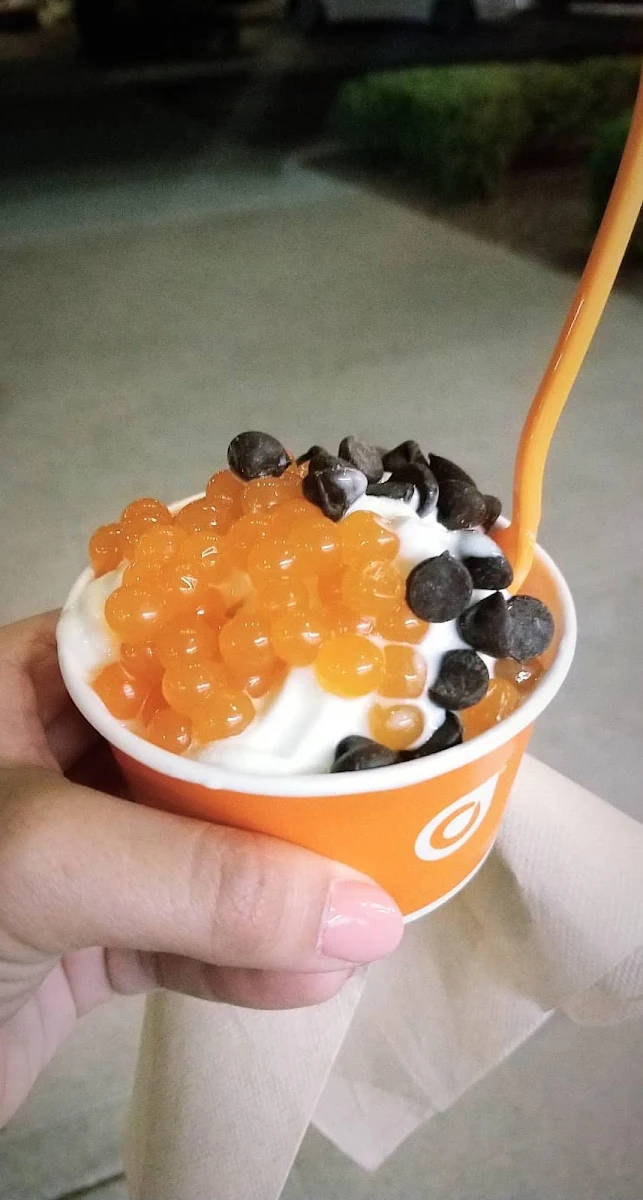 Strawberry Frozen Yogurt