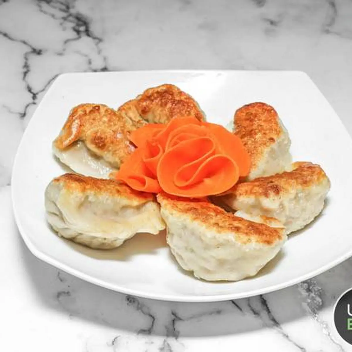 Pan Fried or Steamed Dumpling
