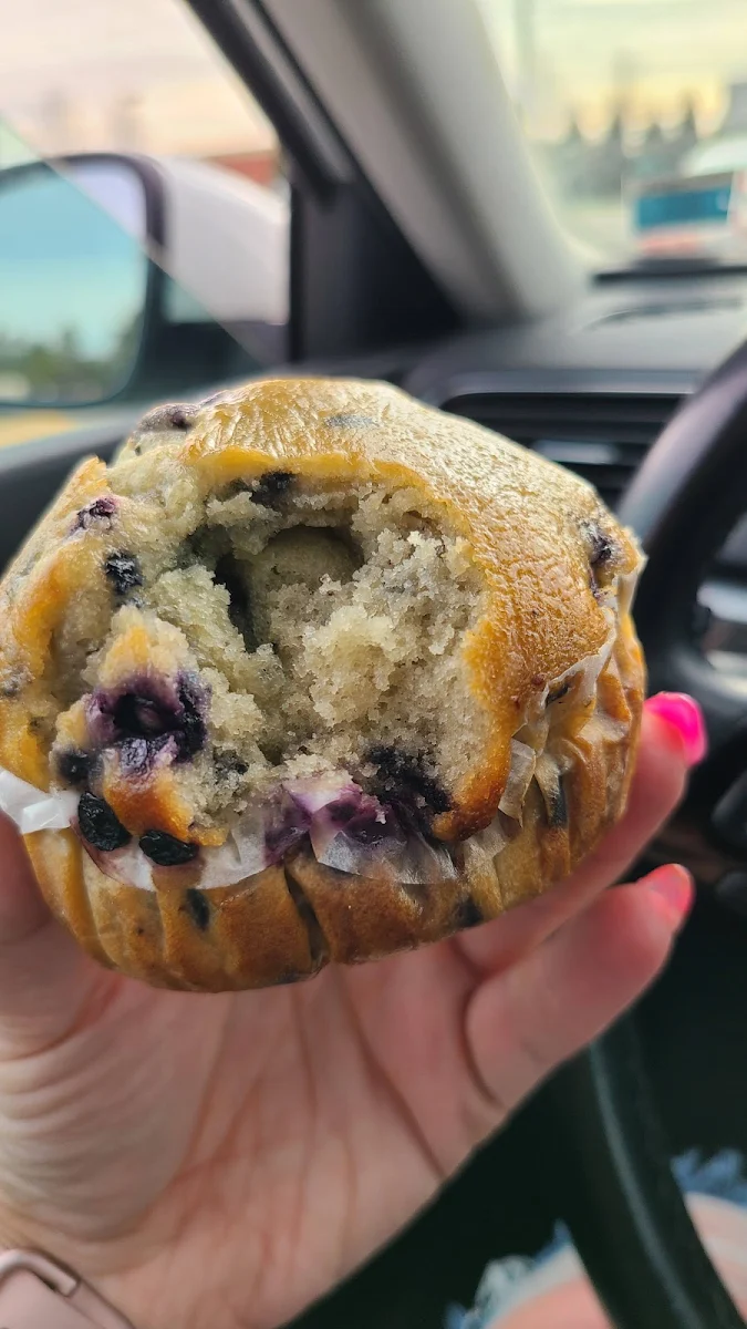 Blueberry Muffin