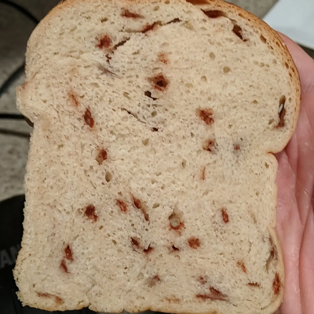 Small Soft Chocolate Chip Cookie