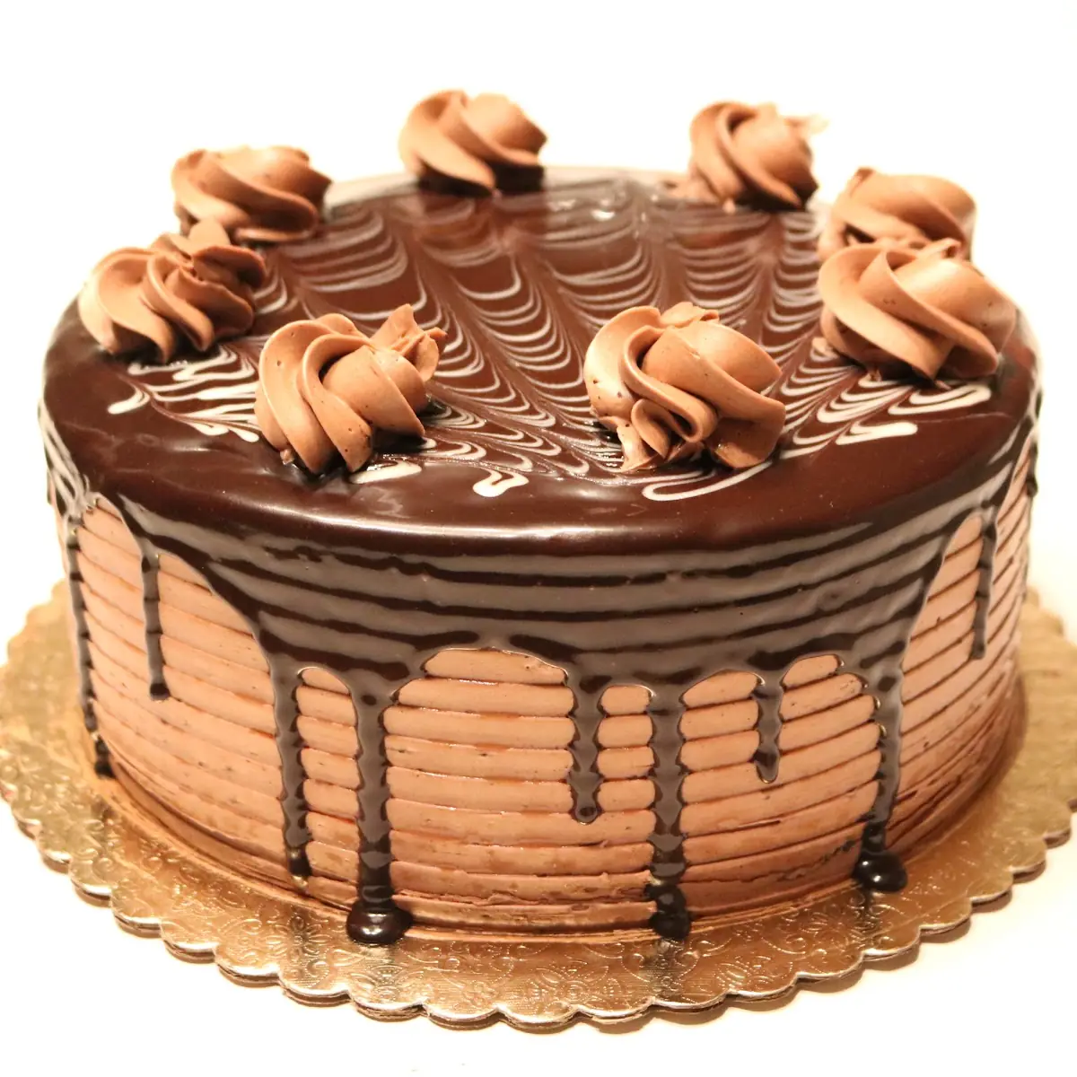 Double Chocolate Cake