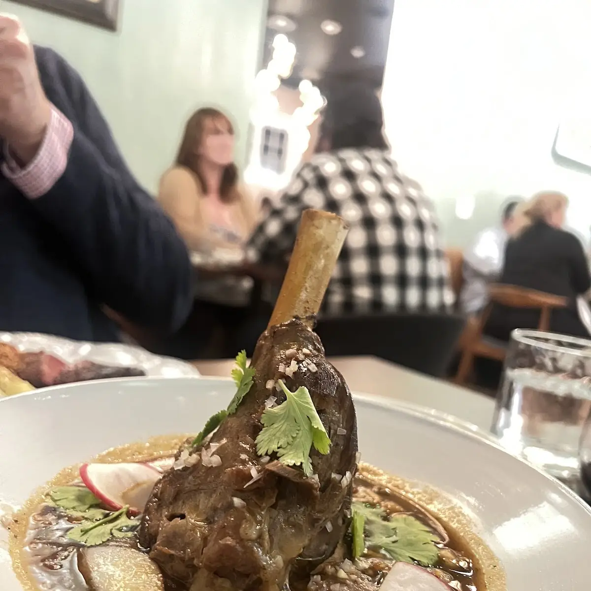 Lamb Shank