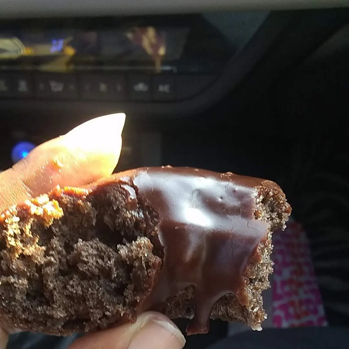 Double Chocolate Donut
