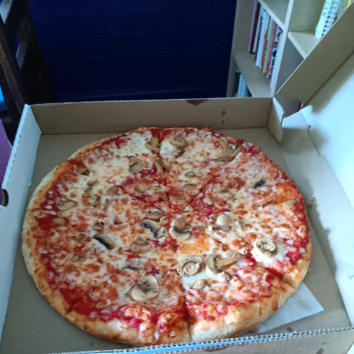 Mushroom Pizza