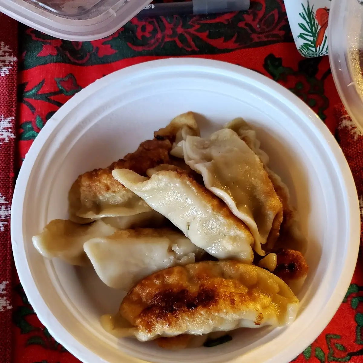 9. Fried or Steamed Dumplings (8)