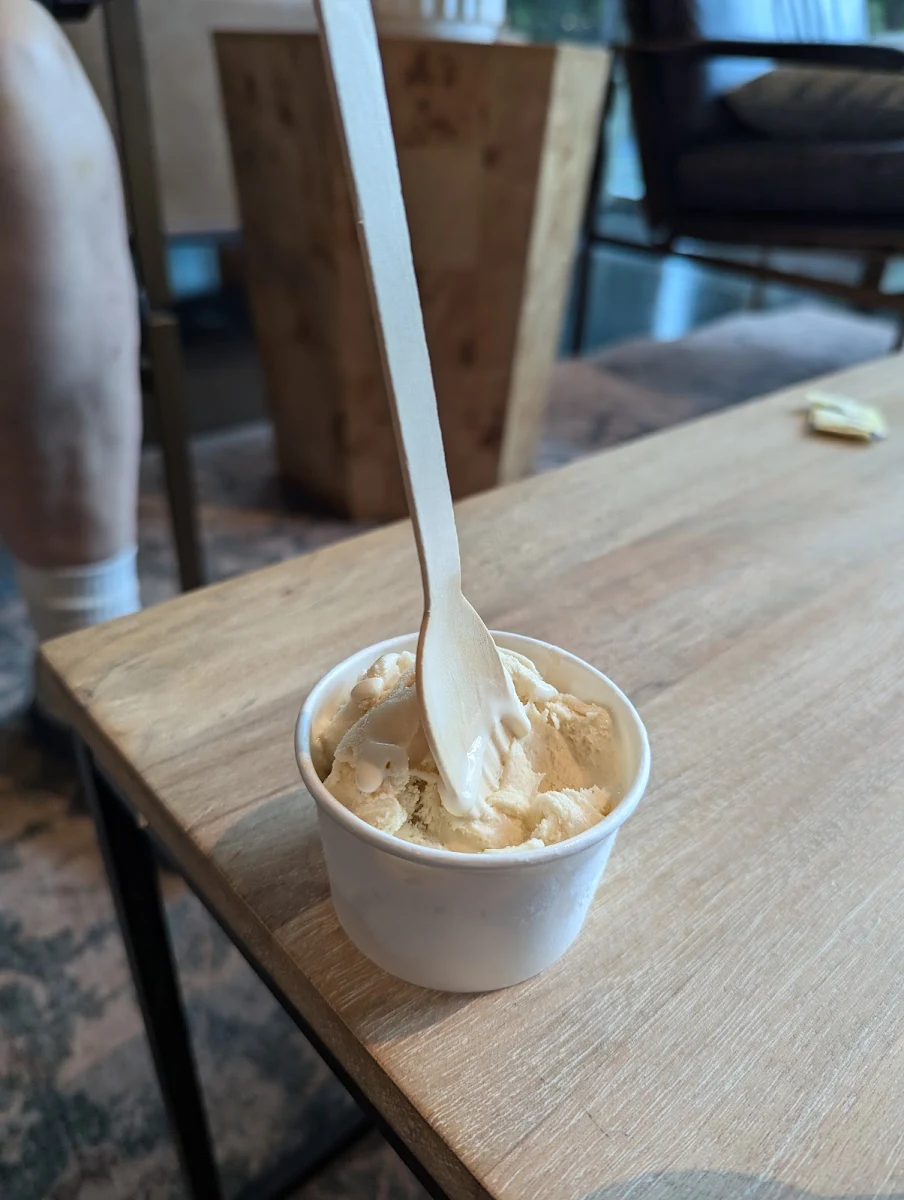 Vanilla Ice Cream