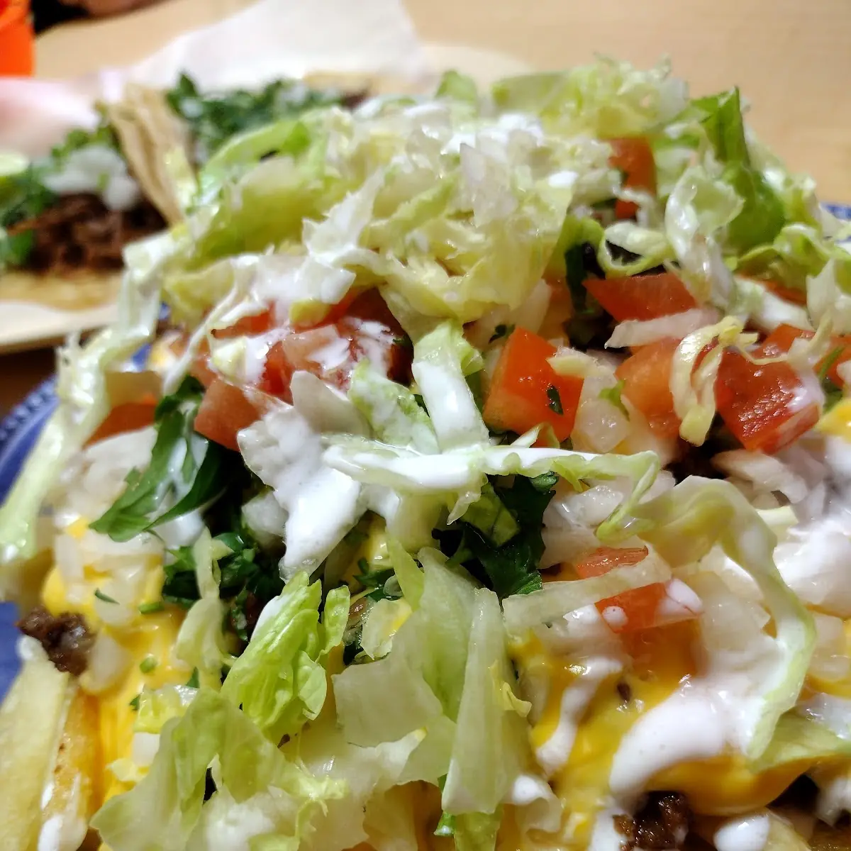 Loaded Fries