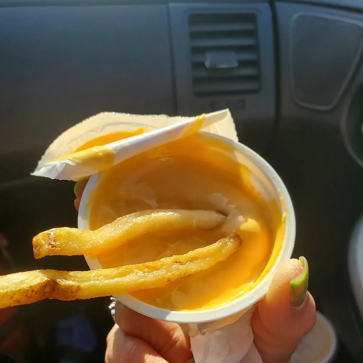 Cheese Dip with Fries