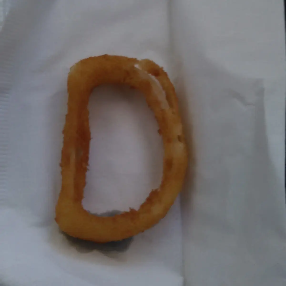 Hand Made Onion Rings