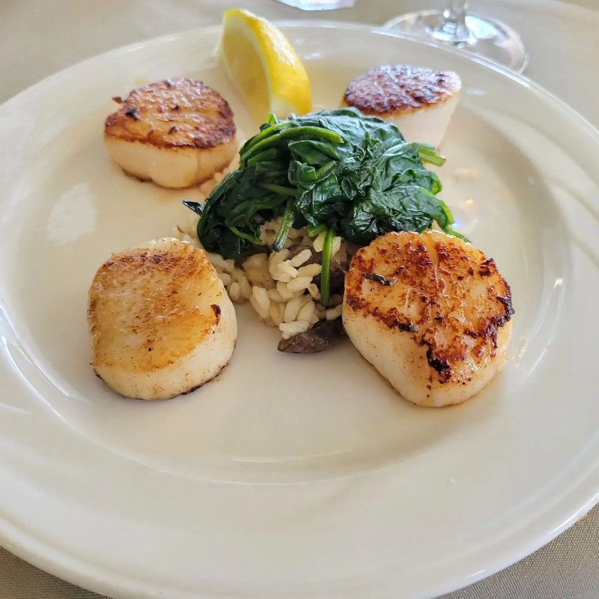 Jumbo Sea Scallops