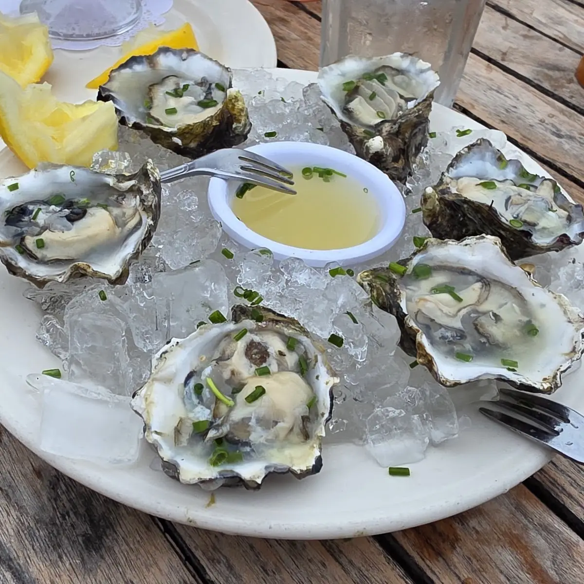 Oysters on the Half Shell