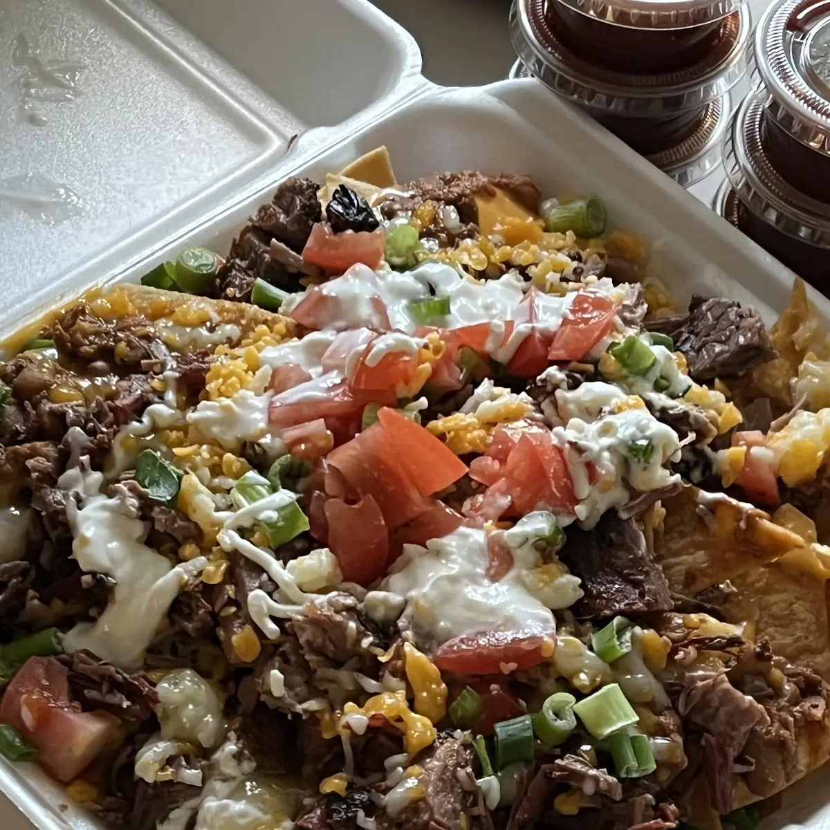 Carne Asada Fries