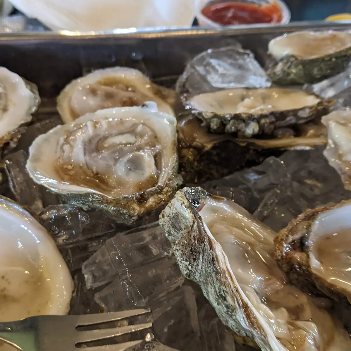 Oysters on the Half Shell