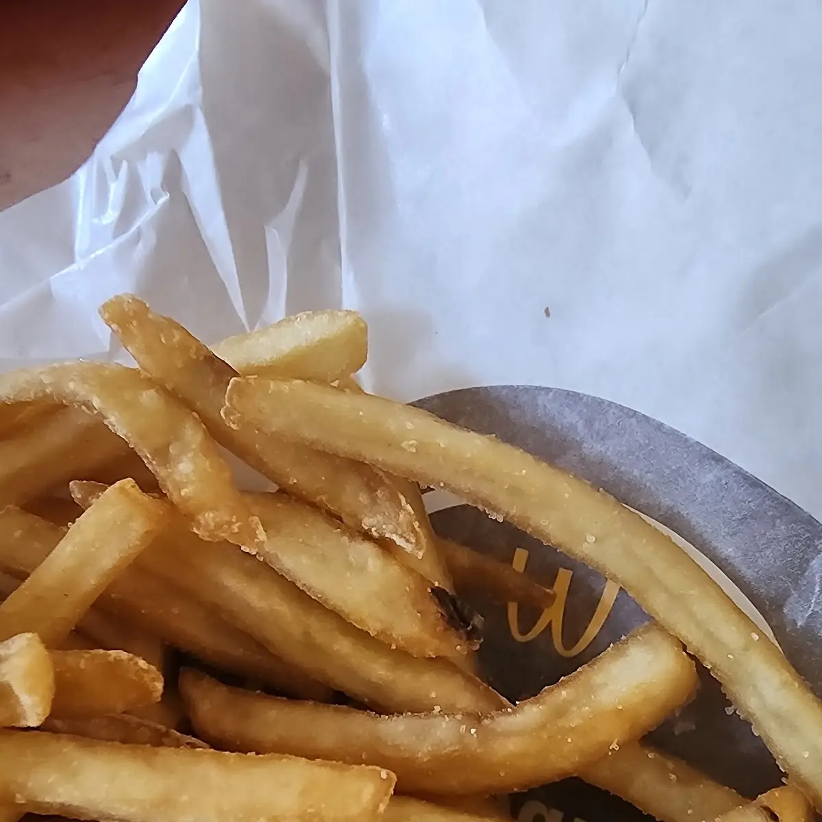 World Famous Fries