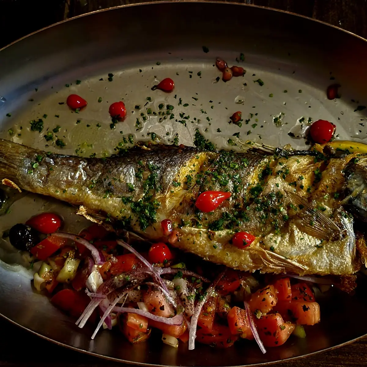 Levrek Sea Bass