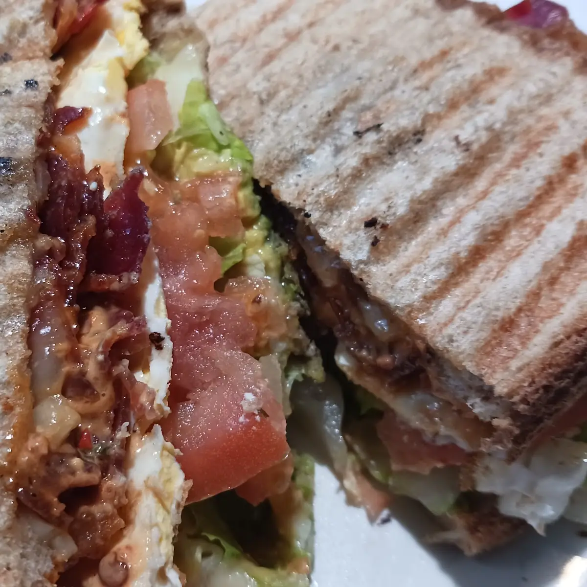 Spicy Tuna Panini