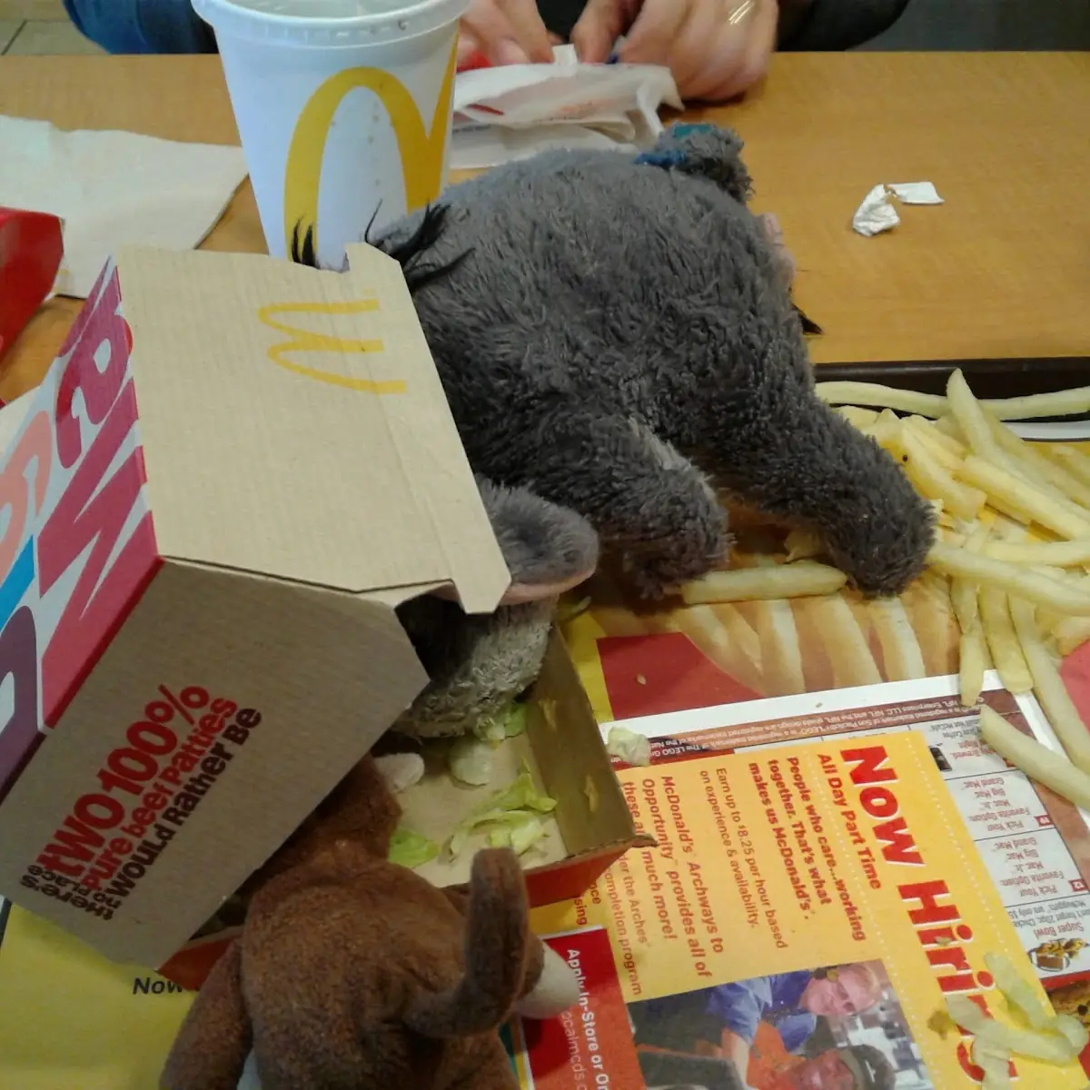 Big Mac and Fries