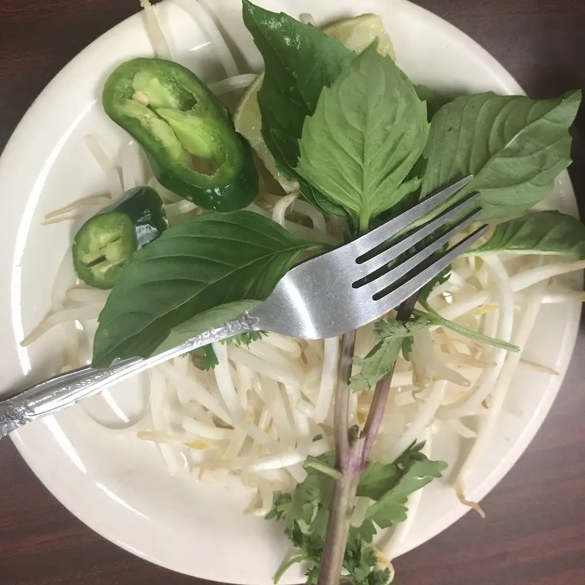 Bean Sprouts Mint Leaves & Side of Fish Sauce