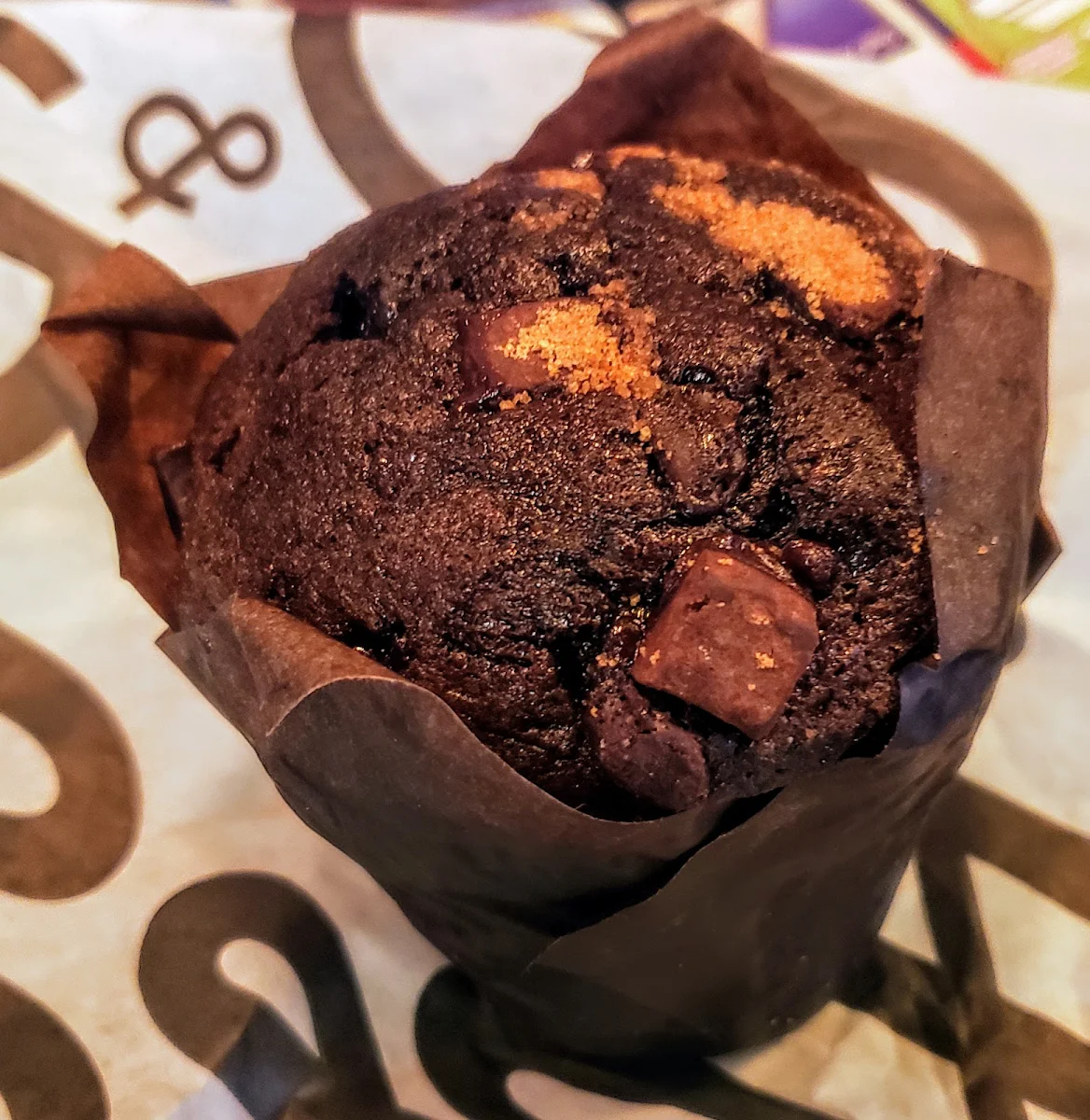 Double Chocolate Muffin