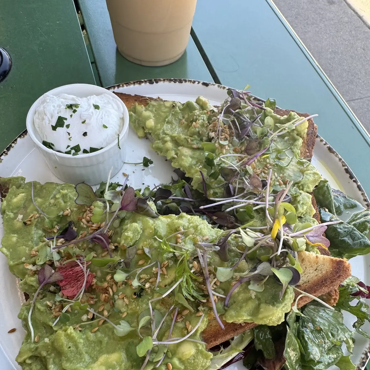 Organic Micro Greens Omelette