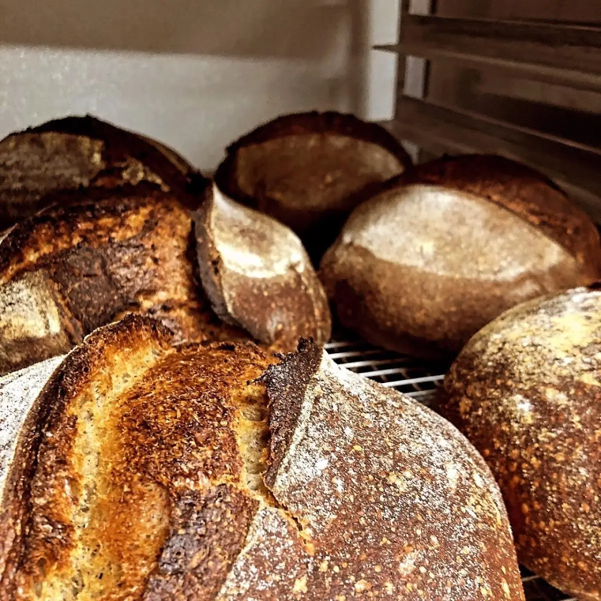 Sourdough