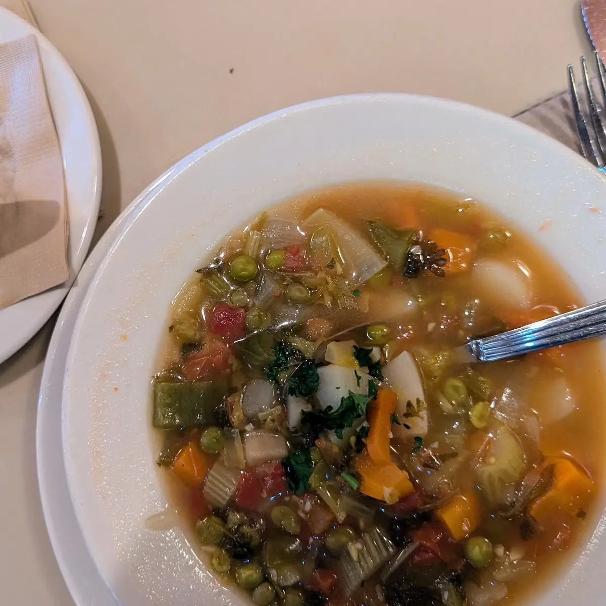 V 9 Soup