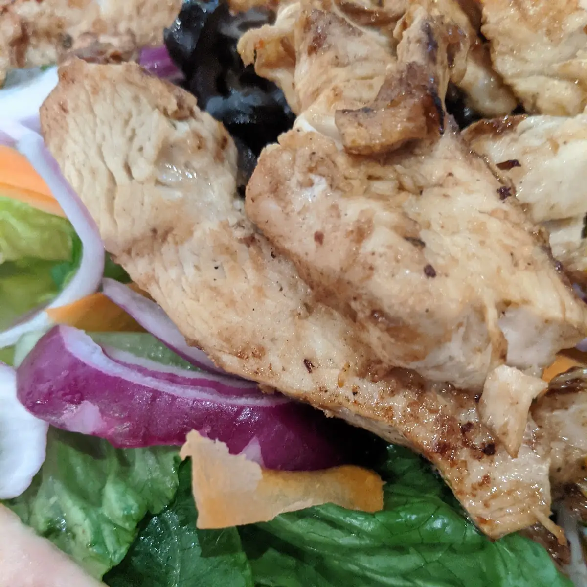 Grilled Chicken Salad