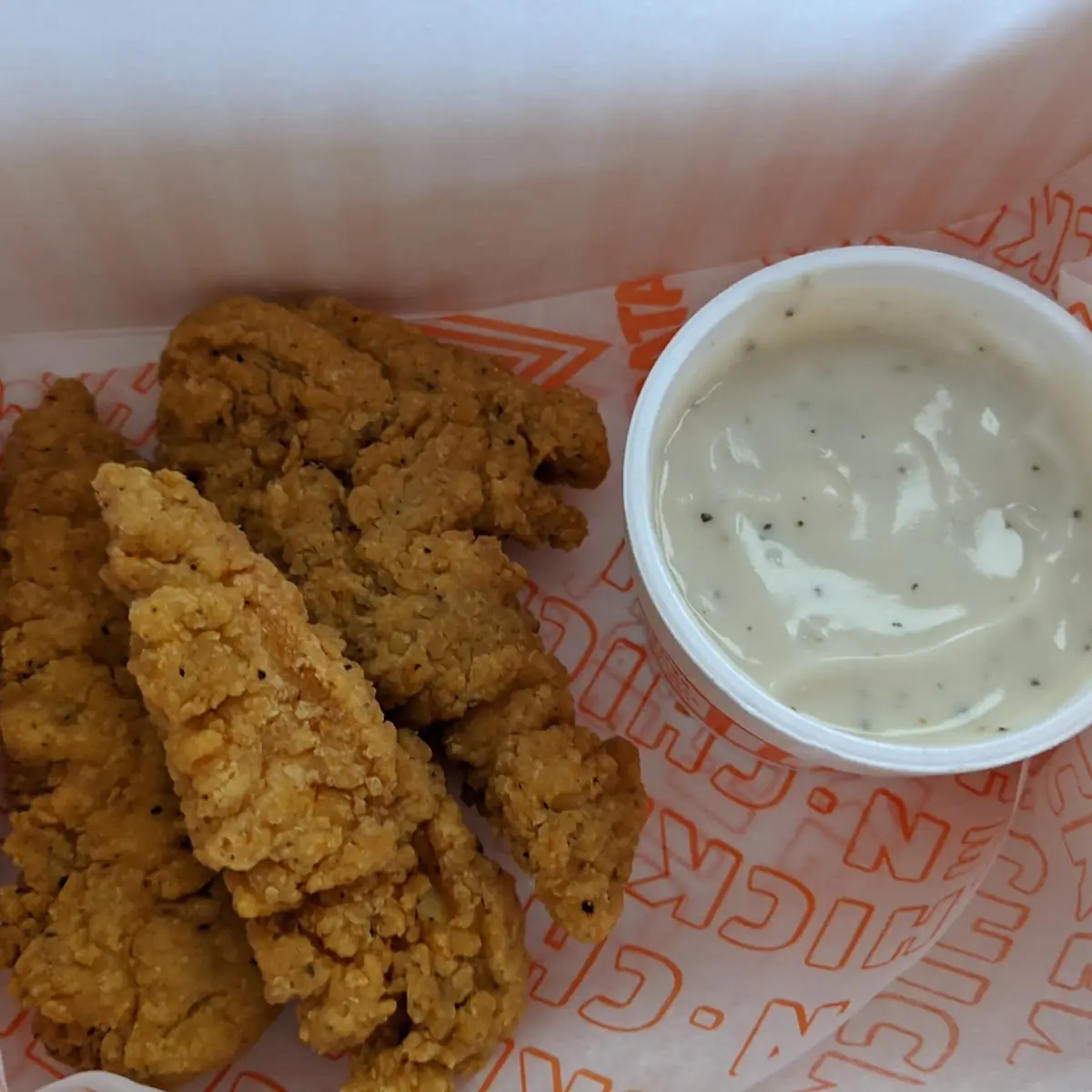 Chicken Strips and Gravy