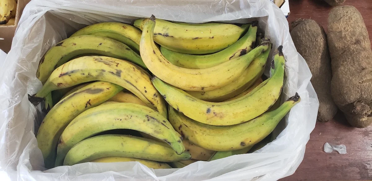 Plantains