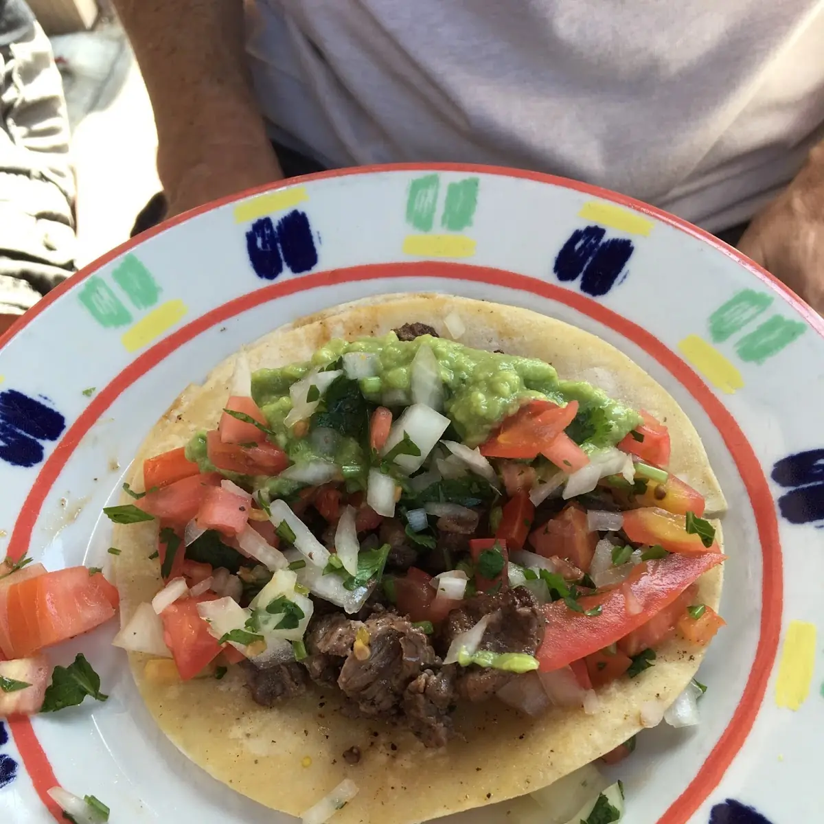 Carne Asada Torta
