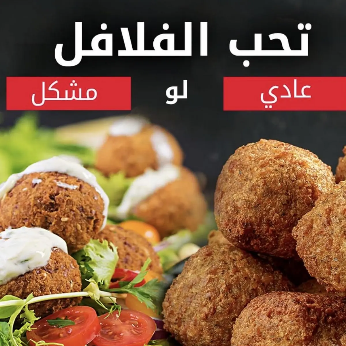 Falafel 6pc