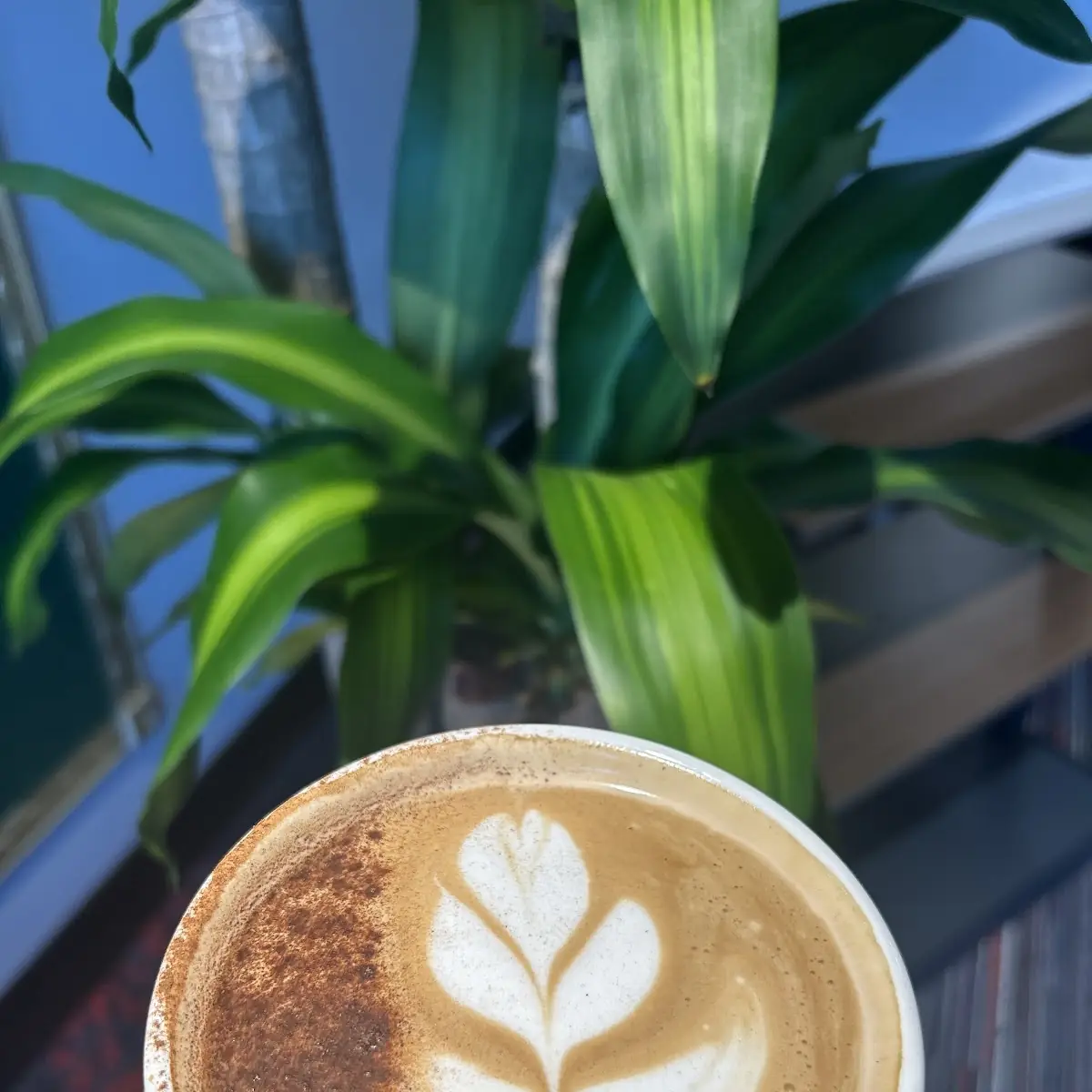 Matcha Latte