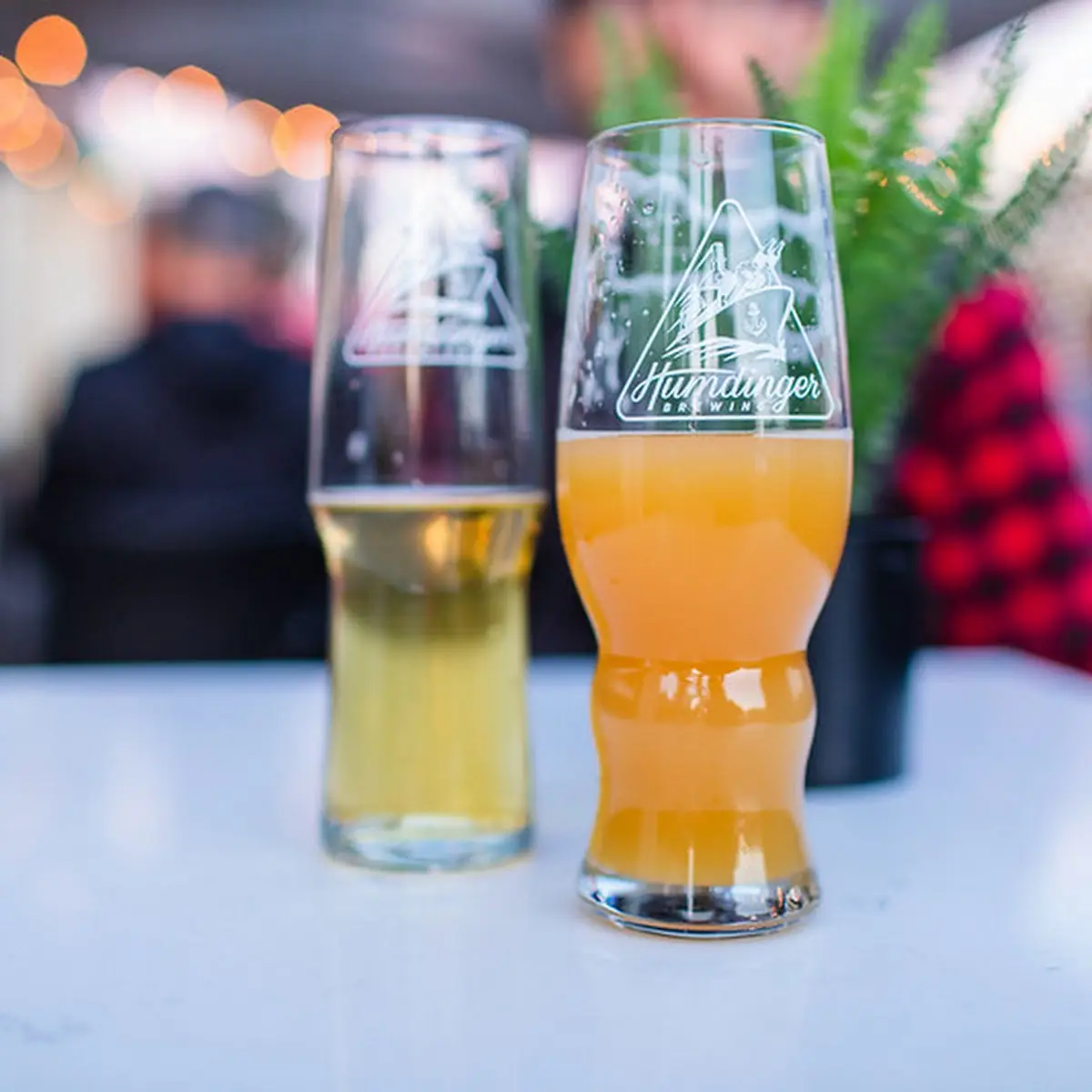Paradox Pale Ale