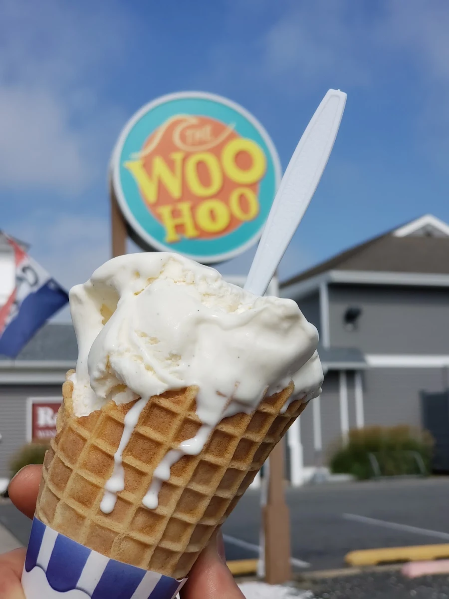 Vanilla Ice Cream