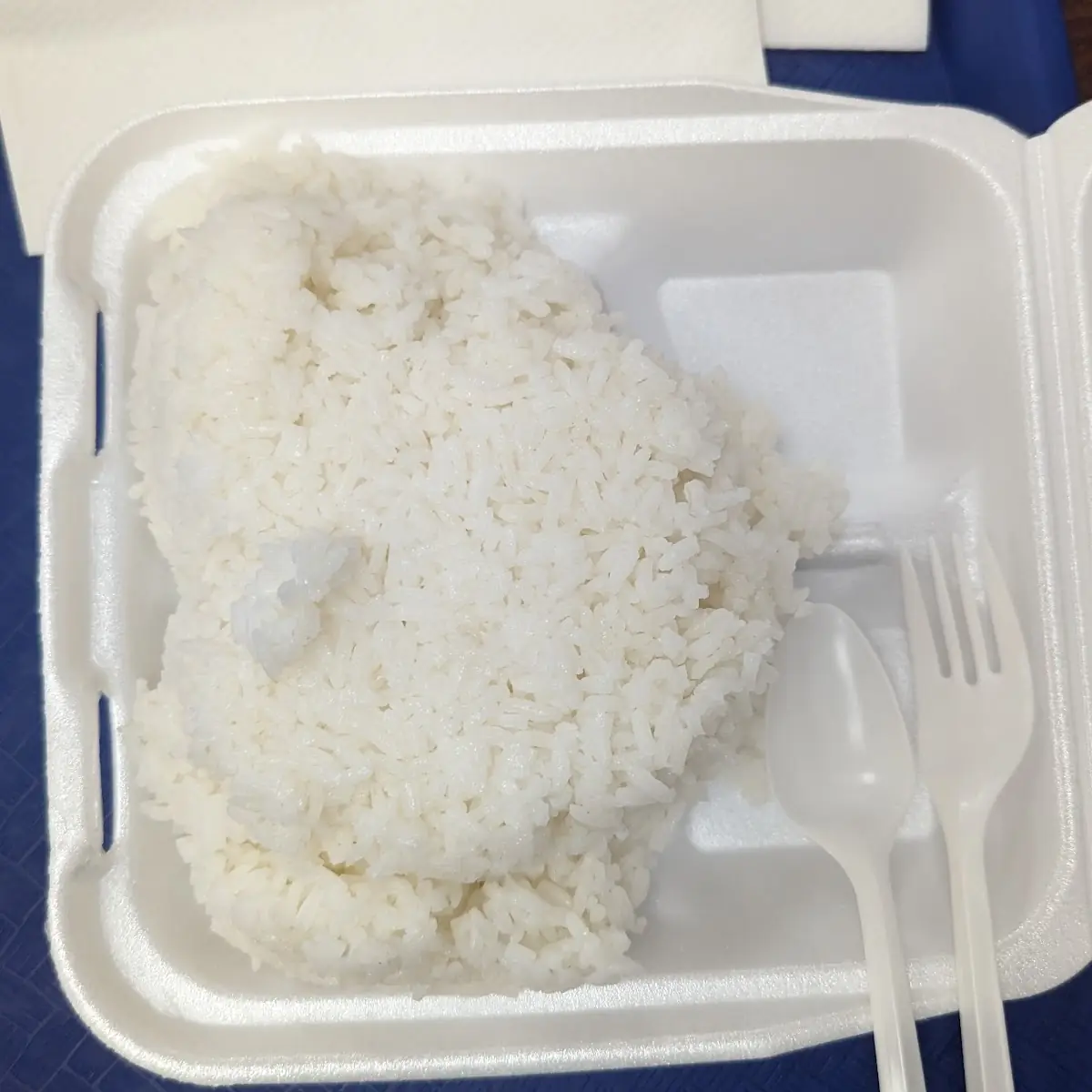 White Rice