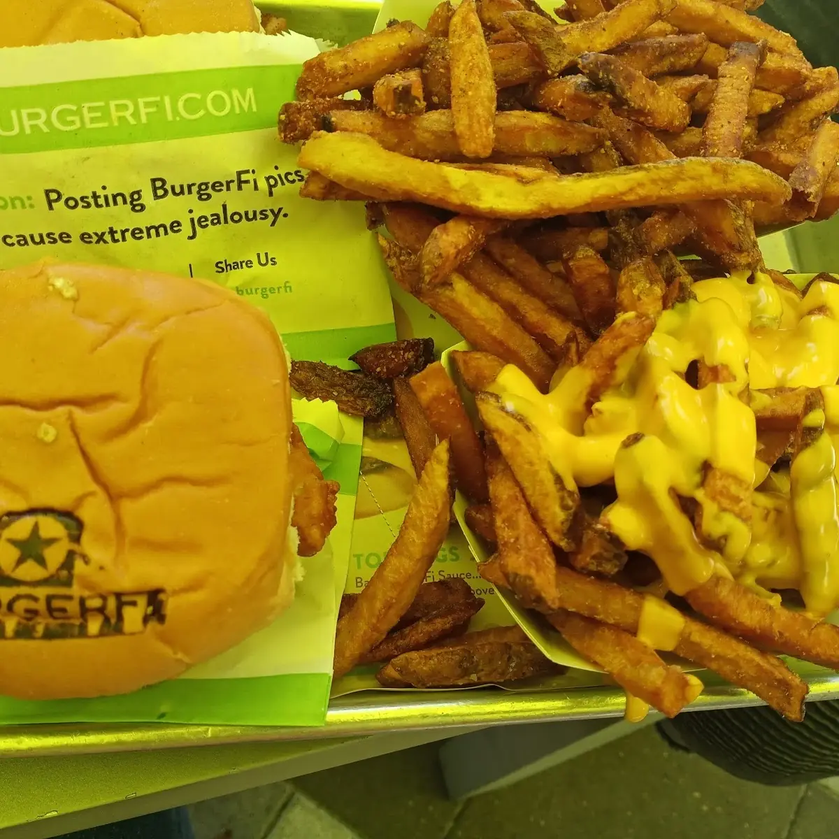 Chicken Sandwich and Cheese Fries