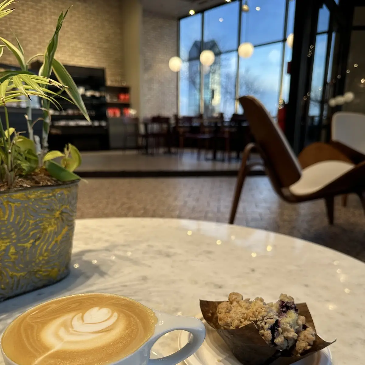 Blueberry Muffin