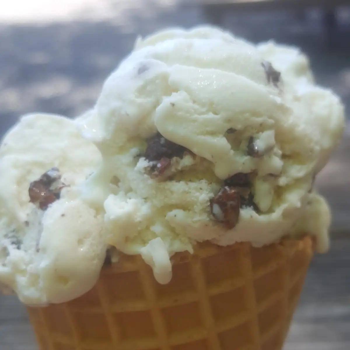 Vanilla Chocolate Chip