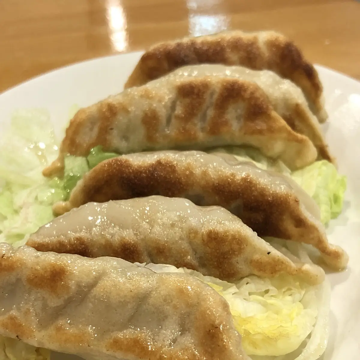 Fried or Steamed Dumplings