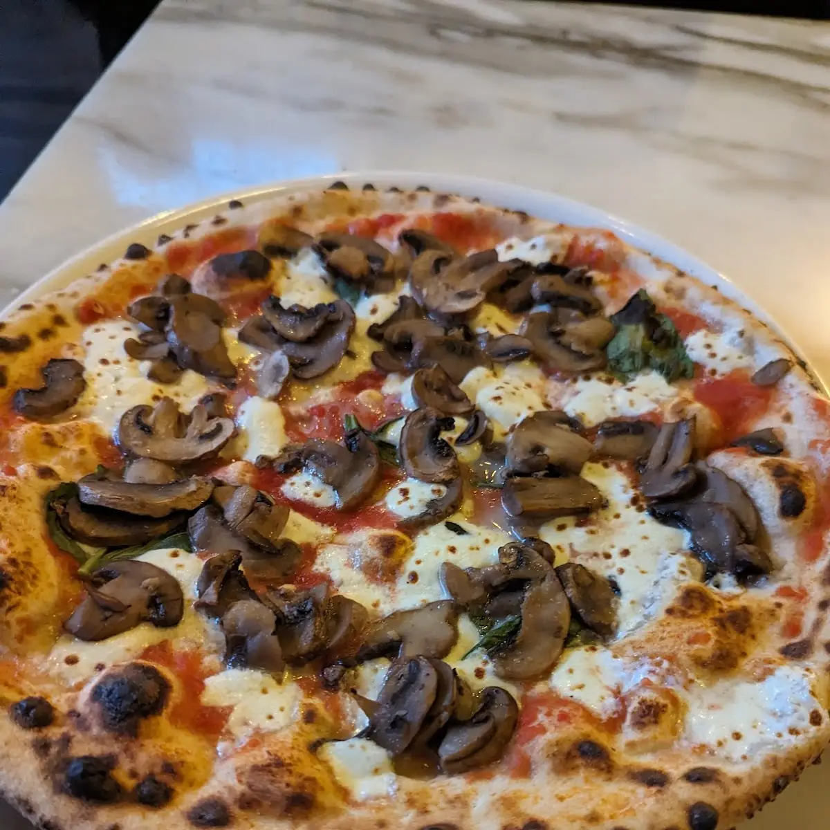 Funghi Pizza