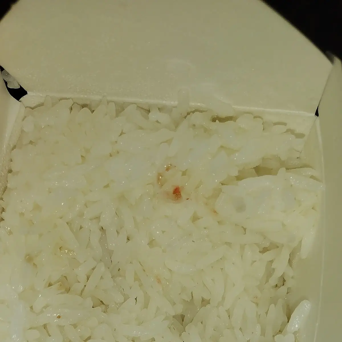 White Rice