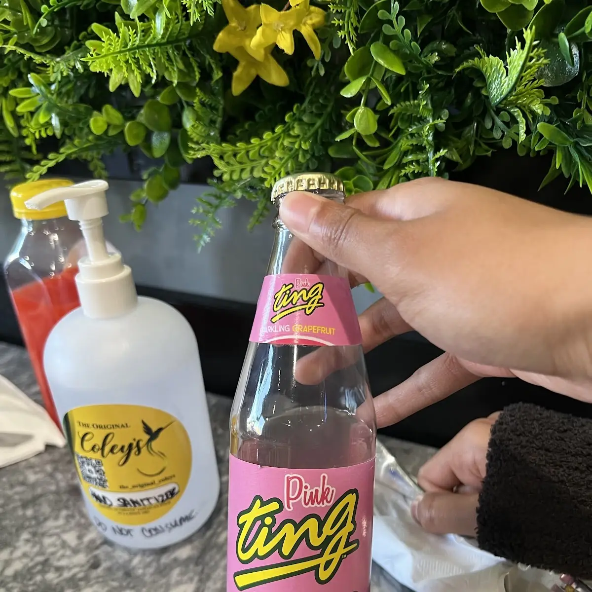 Pink Ting Grapefruit Soda