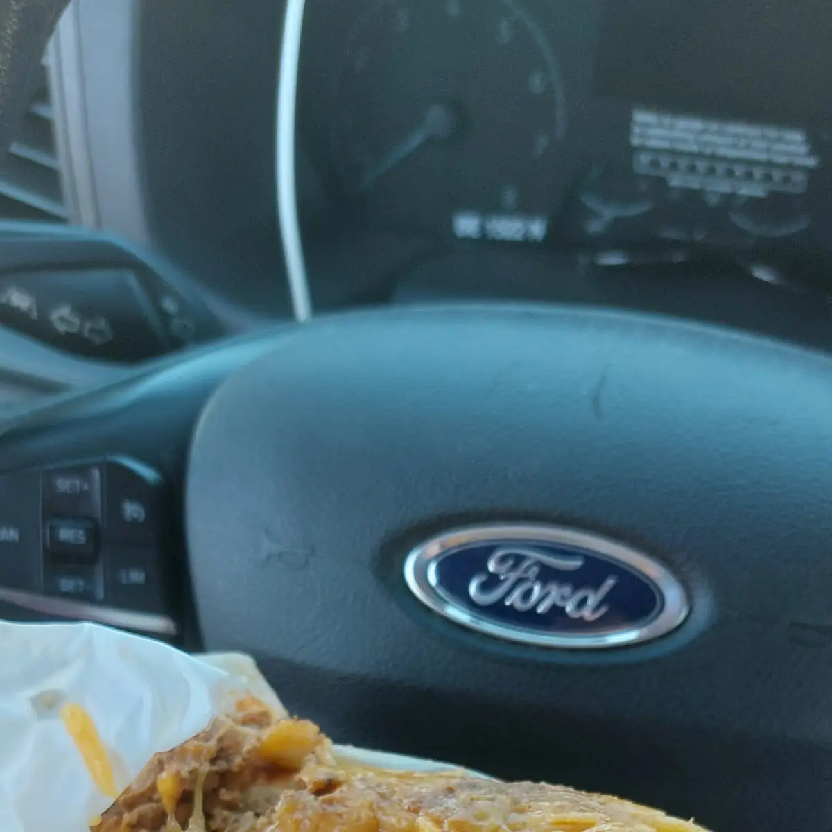 Cheese Dog